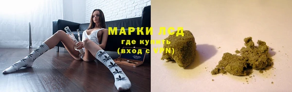 apvp Дубна