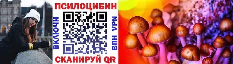 МЕГА маркетплейс  Кукмор  Псилоцибиновые грибы MAGIC MUSHROOMS  сколько стоит 